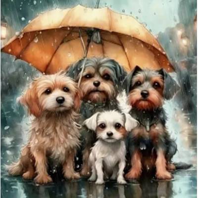 Norimpex - Puzzle Diamant painting: Dog family under umbrella 30x40cm - 1 - 39 piese