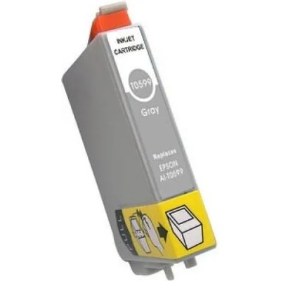 Compatible Epson T0599