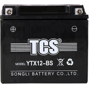 TCS AGM 12Ah left+ (YTX12-BS)