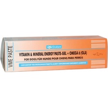 Diafarm Vitamin&Mineral Energy Pasta Pre Psy 1×100 g