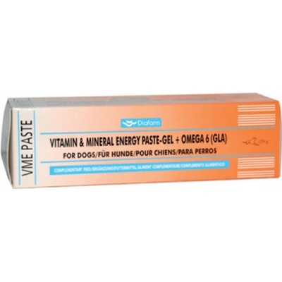 Diafarm Vitamin&Mineral Energy Pasta Pre Psy 1×100 g