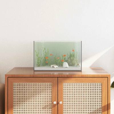 VidaXL akvárium s úložištěm průhledné 40 x 25 x 25 cm sklo 9799.42020381