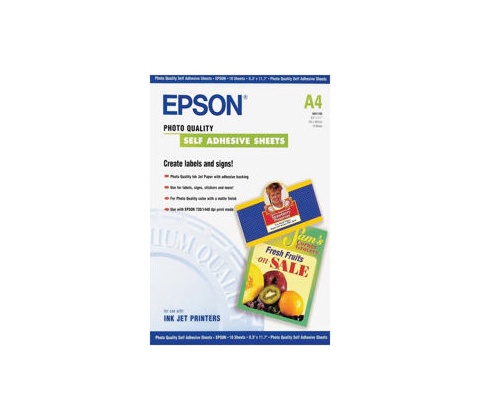 Epson C13S041106