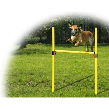 Dog Fantasy Agility set překážek - komplet 100 x 116 cm 2ks