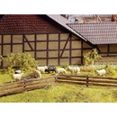 Noch H0 Plot 13040