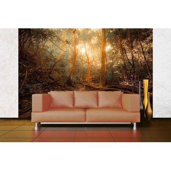 DIMEX ART s. r. o Самозалепваща се флизелинова фототапета мистериозна джунгла 375 x 250 см