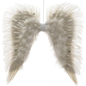 Andělská křídla bílá