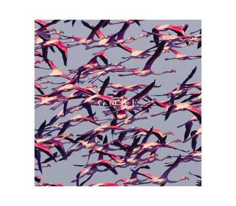 Deftones - Gore LP