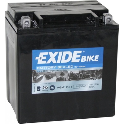 Exide AGM12-31 | Zboží Auto