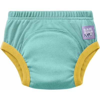 Bambino Mio učící 2-3 roky AQUA