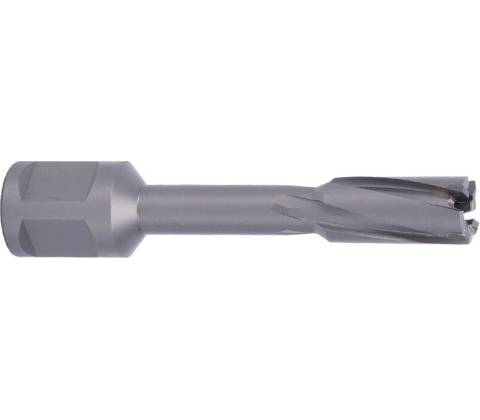 ABSE N-CA-W19-0120050