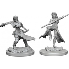 WizKids D&D Human Female Monk Unpainted Dungeons & Dragons Nolzur's Marvelous Miniatures