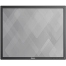 Dell P1917S