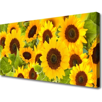 Obraz na plátně Slunečnice 100x50 cm