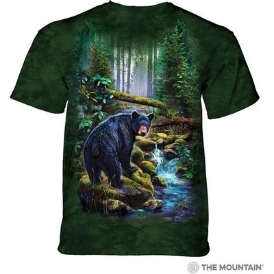 The Mountain Black Bear Forest zelená