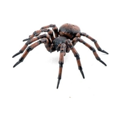 Papo Фигурка за игра - Обикновен паяк - Papo (50292)