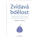 Zvídavá bdělost