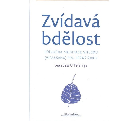 Zvídavá bdělost
