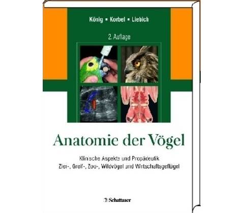 Anatomie der Vögel