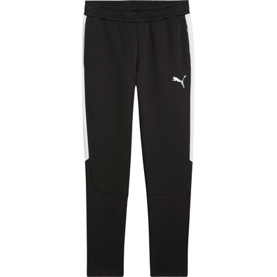 Puma Team Evostripe Pants 659948-03