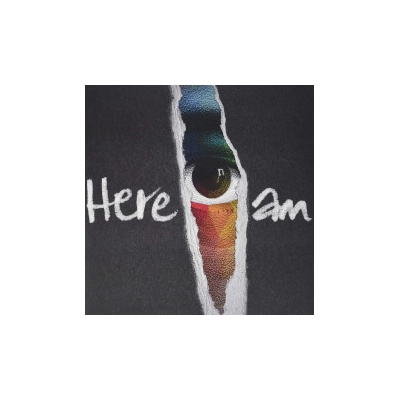 Groundation - Here I Am LP