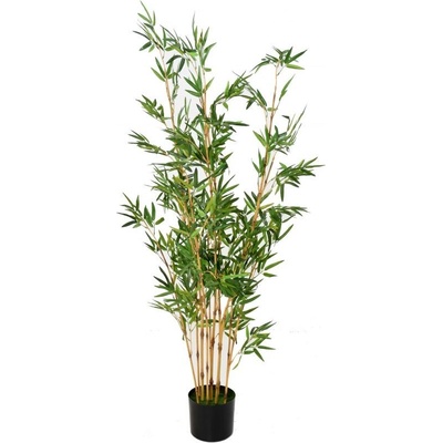 Bambus strom, 150cm