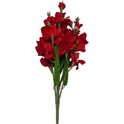 KYTICA GLADIOLA x5 ČERVENÁ 75CM