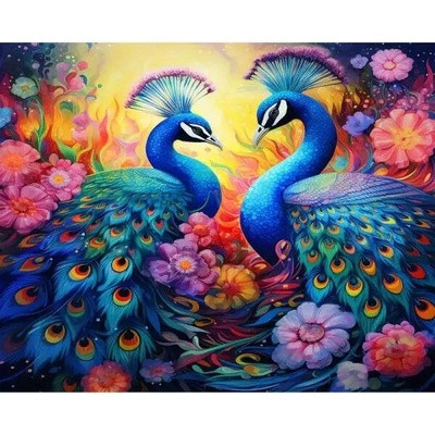 Norimpex diamantové maľovanie Pávie schôdzka 30 x 40 cm