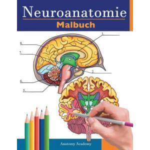 Neuroanatomie Malbuch | ANATOMY ACADEMY (ISBN: 9781838188689)