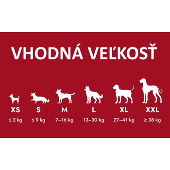 Kong Classic Granát 2 x M 8,8 x 5,7 cm