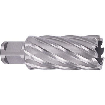 ABSE N-HS-W19-0300050