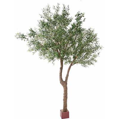 OLIVOVNÍK GEANT HEAD 2T, 350cm