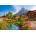 Castorland - Puzzle Kandersteg, Switzerland - 500 piese
