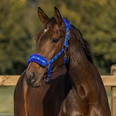 Horka Ohlávka s beránkem a koníky Černá – Zboží Dáma Horka Ohlávka s beránkem a koníky Černá – Zboží Dáma