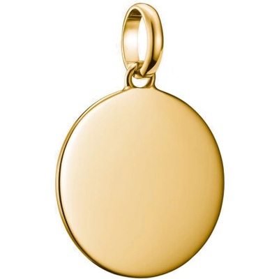 Thomas Sabo connect prívesok charm Large coin gold-plated CC1273 413 39