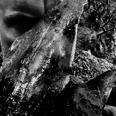 Taake - En Skog Av Nidstang CD