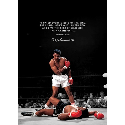 Plagát, Obraz - Best Boxer Legend, 30 × 40 cm
