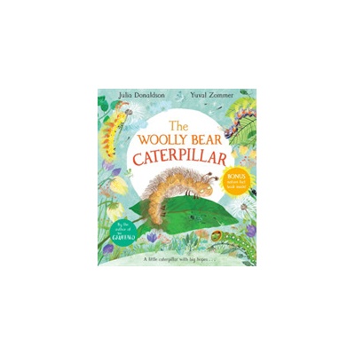 Woolly Bear Caterpillar Donaldson Julia