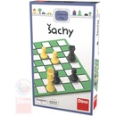 Šachy - Dino