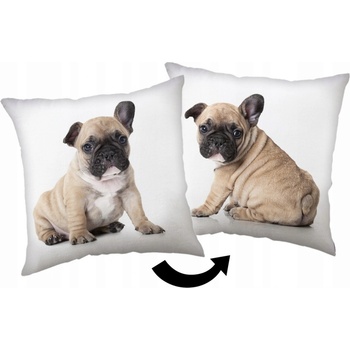 Jerry Fabrics vankúš Bulldog 40x40