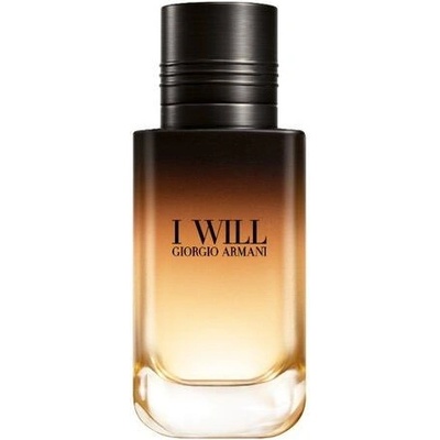 Giorgio Armani I Will parfémovaná voda pánská 60 ml – Hledejceny.cz