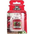 Yankee Candle Red Raspberry 8,1 cm