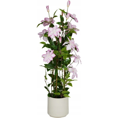 KLEMATIS UMĚLÝ STROM 98 CM RŮŽOVÝ KVĚT