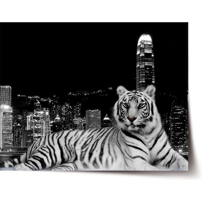 Sablio Plagát Mestský tiger - 60x40 cm