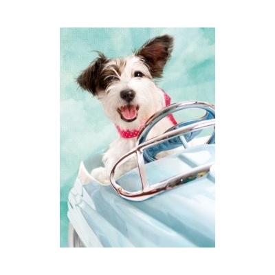 Ravensburger Pejsek rychlá jízda 193288 1000 dílků