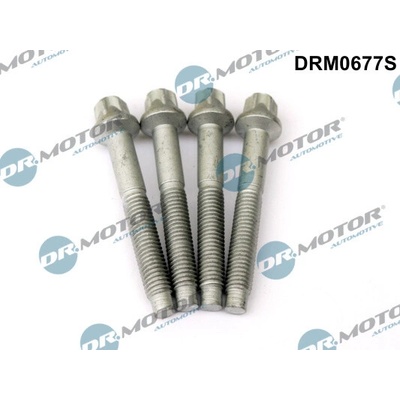 DR.MOTOR AUTOMOTIVE Skrutka, držiak vstrekovacej trysky DRM0677S