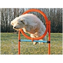 Trixie Agility proskakovací kruh / 65 x 115 cm