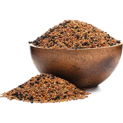 Grizly semínka na klíčení Mix Allegro BIO 250 g