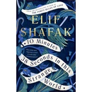 10 Minutes 38 Seconds in this Strange World - Elif Shafak