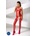 Passion Bodystocking BS056